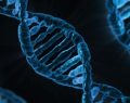 CRISPR: A look at the controversial DNA editing technology