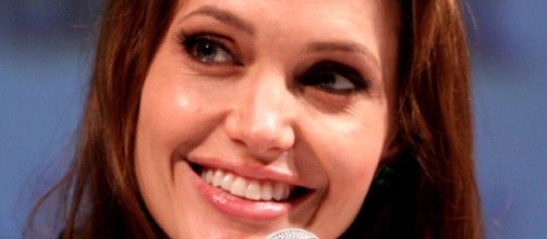 Angelina Jolie, Brad Pitt working on their marriage? [Image via Flickr/Gage Skidmore]