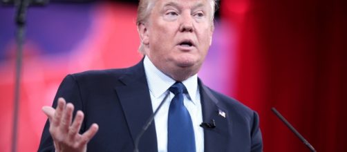 Donald Trump Image - Gage Skidmore | Flickr