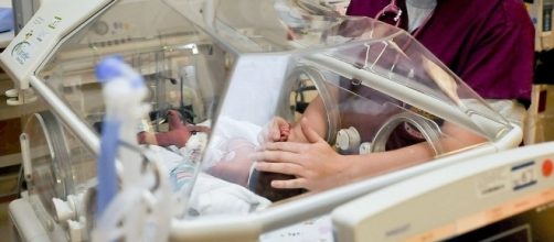 [Image by Official U.S. Navy Page| Wikimedia Commons | Cropped and Resized | [Public domain]