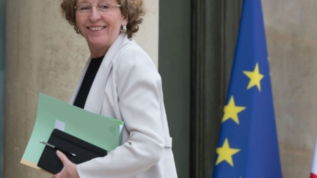 Muriel P&eacute;nicaud, un profil atypique au minist&egrave;re du travail ... - challenges.fr