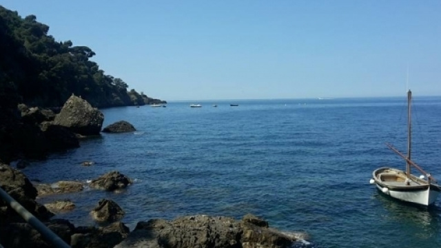 PORTO PIDOCCHIO, LIGURIA - CAMMINATA DI DUE ORE, CAMOGLI - PUNTACHIAPPA