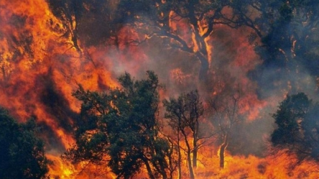 Regione Campania, una delle pi&ugrave; colpite dagli incendi insieme a Sicilia e Calabria.