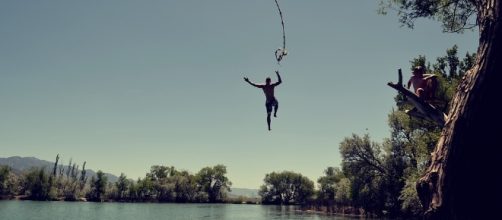 Free photo: Jump, Water, Swimming Outdoors - Free Image on Pixabay ... - pixabay.com