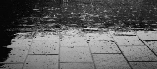 Rain - Free images on Pixabay - pixabay.com