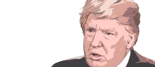 The US President has surprised his Afghan commanders.https://pixabay.com/en/donald-trump-2333743/