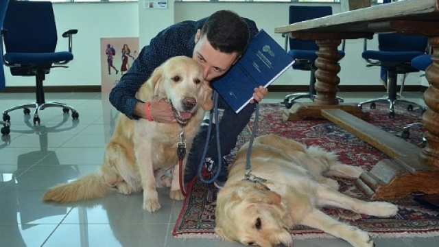 All'universit&agrave; meglio gli esami mano nella zampa | Cani TERAMO - quinewsanimali.it