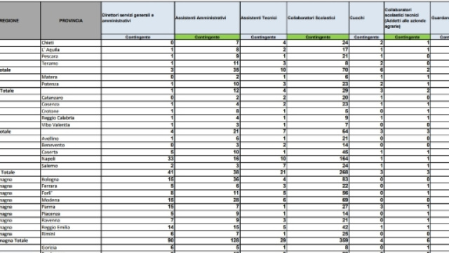 contingente delle assunzioni del personale Ata