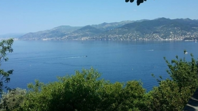 San Rocco di camogli, vista dalla chiesa.
