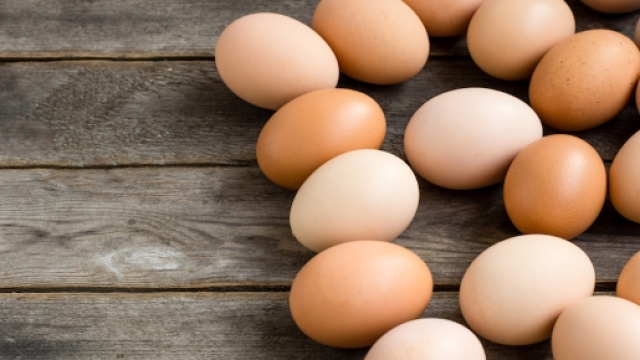 Uova al fipronil, la richiesta del Codacons