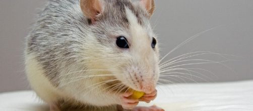 To get through your day today, socialize with family and friends that are closest to you. - Image via pixabay.com