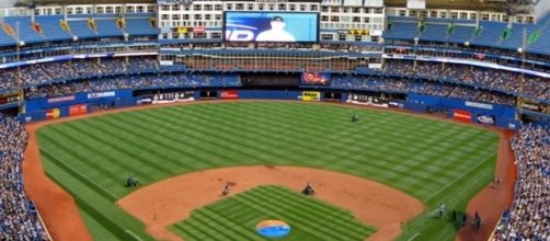 Grass at Rogers Centre by James G via Flickr