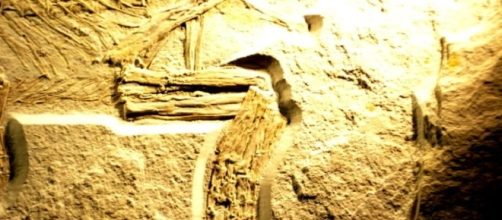 The Sleeping Dragon has a plate-like armor in the stomach. [Image via Toter Alter Mann, Wikimedia Commons]