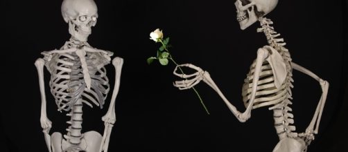 Love - Free images on Pixabay - pixabay.com