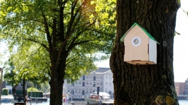 Treewifi, l'hotspot wifi gratuito se non inquini