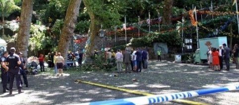 Doce muertos en Madeira tras la caída un árbol en un festival