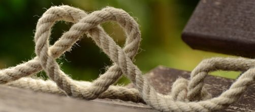 You are indeed an innately a kind-hearted and warm spirited person, Rabbit - Image via pixabay.com