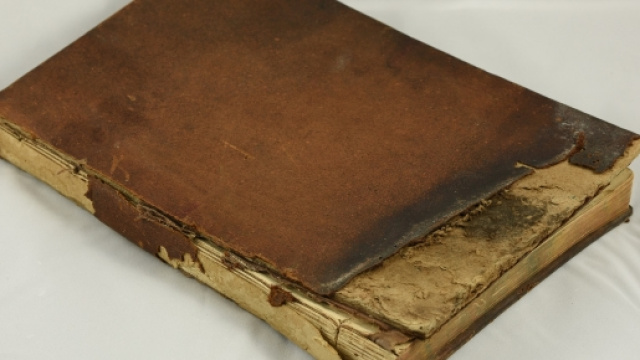 Copyright DizzyRoseblade: distrutte tre vite ed un'inestimabile opera letteraria e mobiliare.