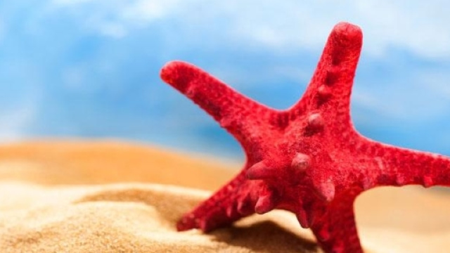 Perch&egrave; festeggiamo il ferragosto?