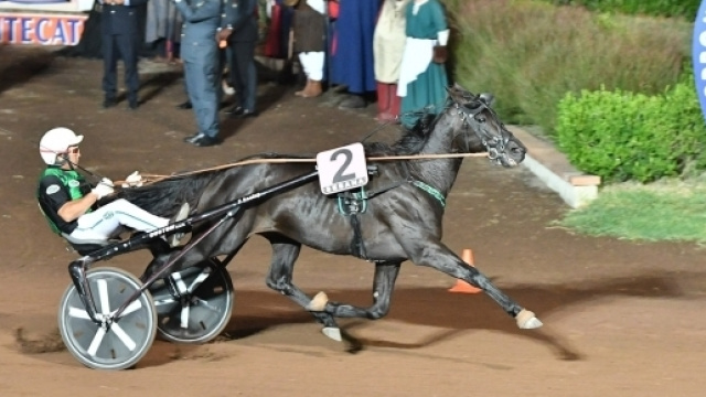 Timone Ek, con il driver Enrico Bellei, vince il Gran Premio Citt&agrave; di Montecatini 2017 (Foto Rosellini - Trenno (C) free)