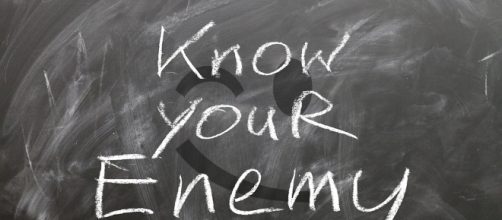 Own Enemy...Image via Pixabay.