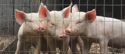 Photo by Liz West via Flickr CC BY 2.0