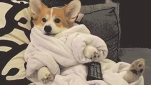 Game of Thrones", saison 7: La palme du meilleur remake revient &agrave; ... - yahoo.com