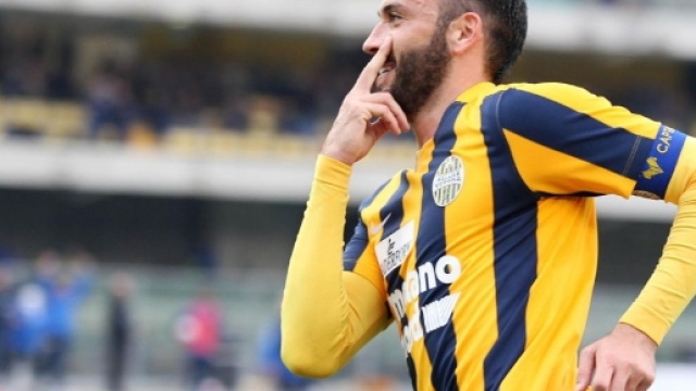 Il pronostico di Bologna &ndash; Verona. Occasione felsinea&hellip; Ma Donadoni ... - okpronostico.it