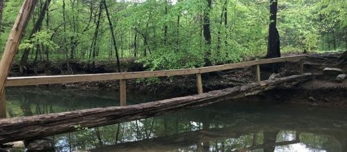 Photo by: Fredlyfish4 | https://commons.wikimedia.org/wiki/File:Turkey_Creek_footbridge_Alabama.JPG