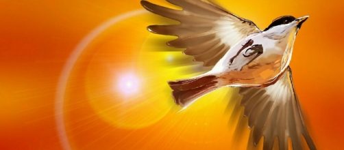 Today, Taurus, the stars say that you should be careful of flying too close to the sun., Image via Pixabay