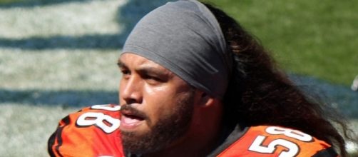 Rey Maualuga Bengals [Image by Jeffrey Beall|Wikimedia Commons| Cropped | CC BY-SA 2.0 ]