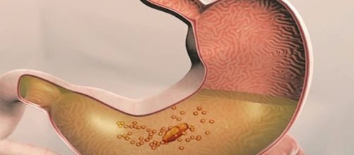 Quimo / Comer / Animaci&oacute;n digital | SD Stock Video 670-333-640 ... - framepool.com