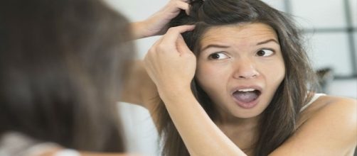 Arrancar fios brancos n&atilde;o faz com que nas&ccedil;a o dobro