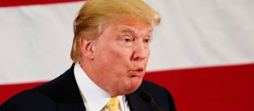 Hillary Clinton throws epic shade at Trump following white ... - Pixabay.com