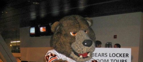 The Bears need more than a stand-in. Blueyeda73 via Wikimedia Commons