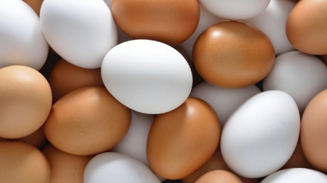 Uova al fipronil anche in Italia