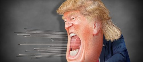 Is Donald Insane? https://www.flickr.com/photos/donkeyhotey/29168164412