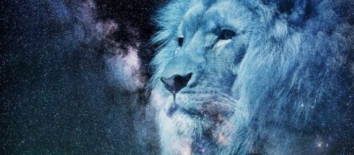 Leo, firm. strong. Image via Pixabay.