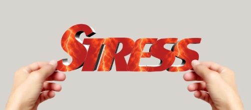 Free illustration: Hand, Keep, Font, Stress, Word - Free Image on ... - pixabay.com