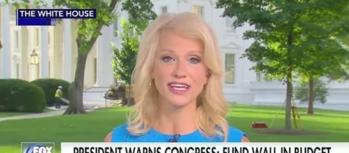 Kellyanne Conway on Fox News, via YouTube