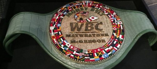 The Money Belt which will be awarded to the winner of Mayweather vs McGregor @latimespugmire/Twitter