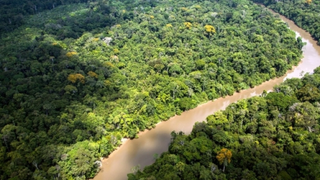 L'Amazzonia &egrave; sempre pi&ugrave; spoglia, in crescita la deforestazione - lifegate.it