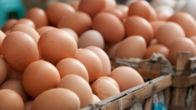 L'insetticida fipronil &egrave; stato trovato in uova italiane