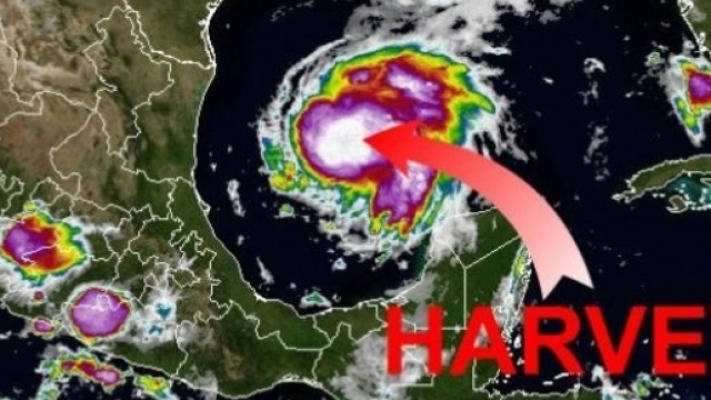 L'uragano Harvey si avvicina alle coste del Texas