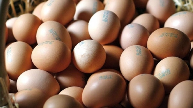 Parco Naturale Regionale della Lessinia: Altri prodotti: Uova - parks.it