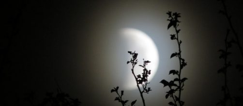 You will meet your soulmate. [Image via Pixabay]