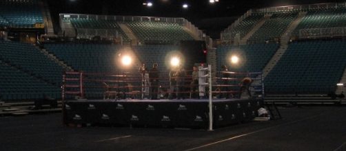 Mayweather vs McGregor, the calm before the storm. [Image via Flickr]