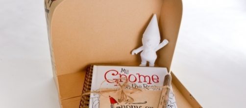 &lsquo;My Gnome on the Roam&rsquo; is a kit that comes with a gnome figurine, a storybook, and more. / Photo via Anne Armstrong, used with permission.