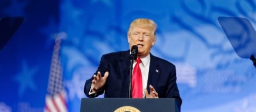 President Donald Trump photographed earlier this year - Flickr/Michael Vadon