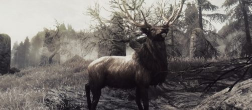 Skyrim screenshot by guidethisonekalahira on flickr